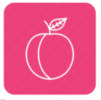 POMS Creativity Agency